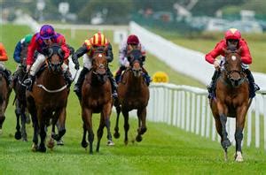 This Weekend’s Irish National Hunt Tips at Curragh.